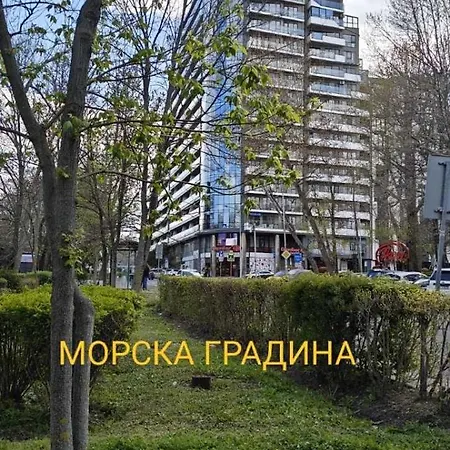 Luxury Sea Sunset Deluxe